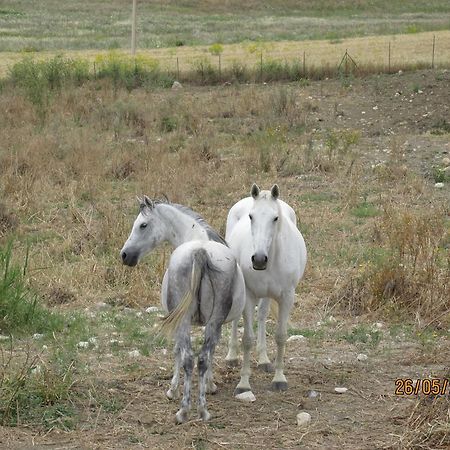 Agriturismo Reggia Saracena Agrigento Zewnętrze zdjęcie